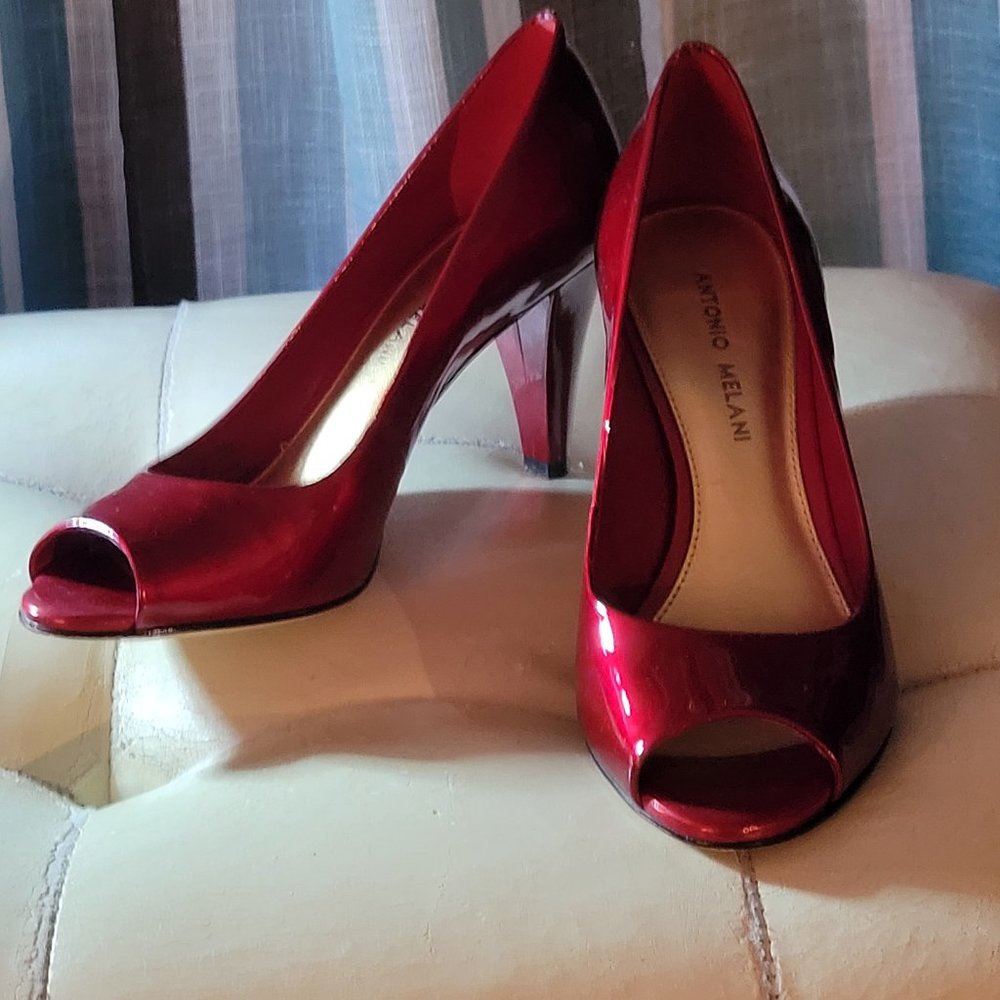 Antonio Melani shoe bundle